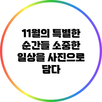 11월의 특별한 순간들: 소중한 일상을 사진으로 담다