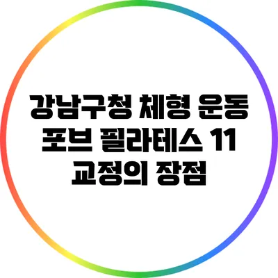 강남구청 체형 운동: 포브 필라테스 1:1 교정의 장점