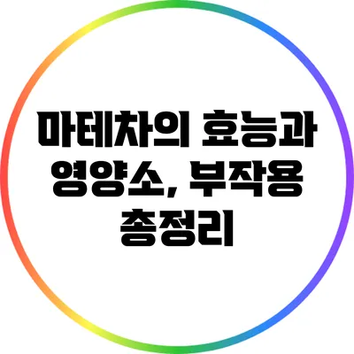 마테차의 효능과 영양소, 부작용 총정리