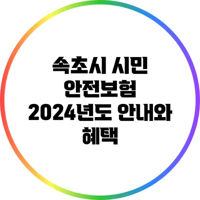 속초시 시민 안전보험 2024년도 안내와 혜택