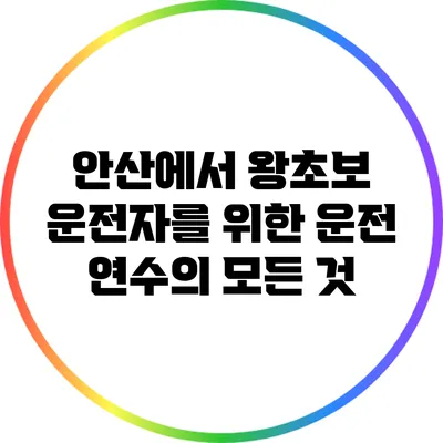 안산에서 왕초보 운전자를 위한 운전 연수의 모든 것