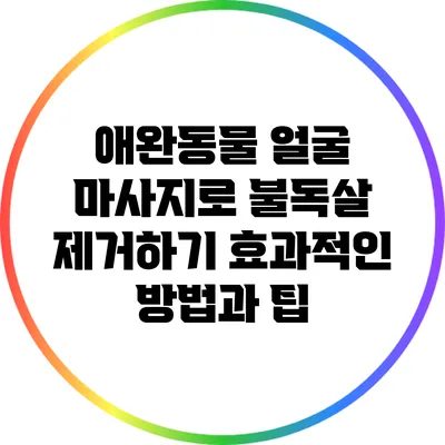 애완동물 얼굴 마사지로 불독살 제거하기: 효과적인 방법과 팁