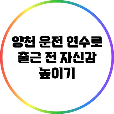 양천 운전 연수로 출근 전 자신감 높이기