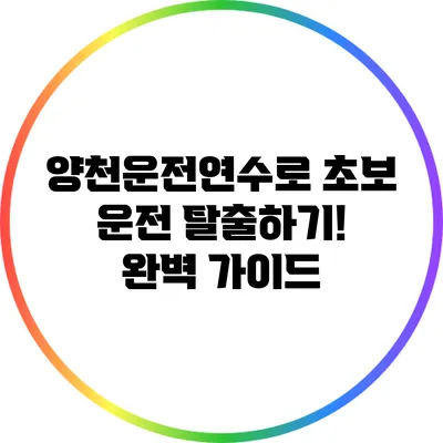 양천운전연수로 초보 운전 탈출하기! 완벽 가이드