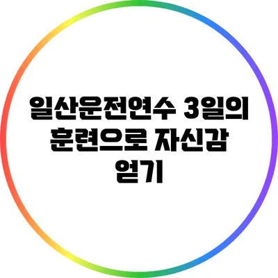 일산운전연수: 3일의 훈련으로 자신감 얻기