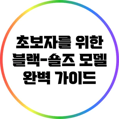 초보자를 위한 블랙-숄즈 모델 완벽 가이드