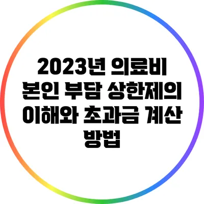 2023년 의료비 본인 부담 상한제의 이해와 초과금 계산 방법