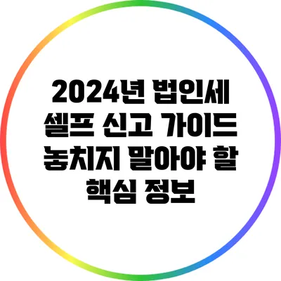 2024년 법인세 셀프 신고 가이드: 놓치지 말아야 할 핵심 정보