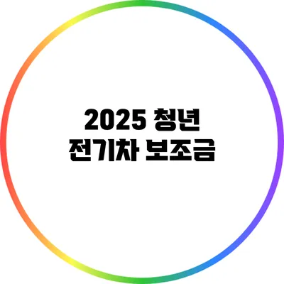 2025 청년 전기차 보조금