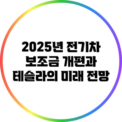 2025년 전기차 보조금 개편과 테슬라의 미래 전망