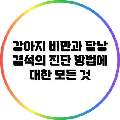 강아지 비만과 담낭 결석의 진단 방법에 대한 모든 것