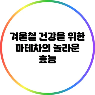 겨울철 건강을 위한 마테차의 놀라운 효능