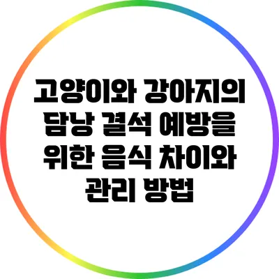 고양이와 강아지의 담낭 결석 예방을 위한 음식 차이와 관리 방법