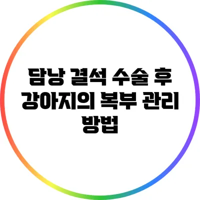 담낭 결석 수술 후 강아지의 복부 관리 방법