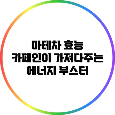 마테차 효능: 카페인이 가져다주는 에너지 부스터