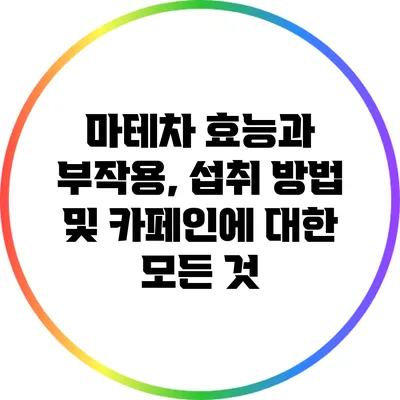마테차 효능과 부작용, 섭취 방법 및 카페인에 대한 모든 것
