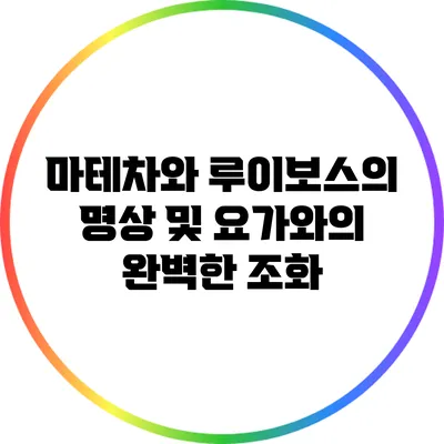 마테차와 루이보스의 명상 및 요가와의 완벽한 조화