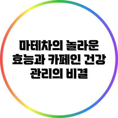 마테차의 놀라운 효능과 카페인: 건강 관리의 비결