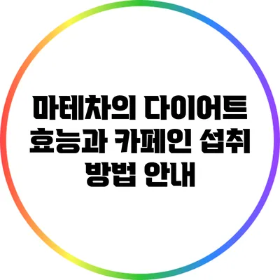 마테차의 다이어트 효능과 카페인 섭취 방법 안내