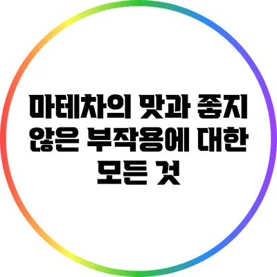 마테차의 맛과 좋지 않은 부작용에 대한 모든 것