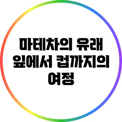 마테차의 유래: 잎에서 컵까지의 여정
