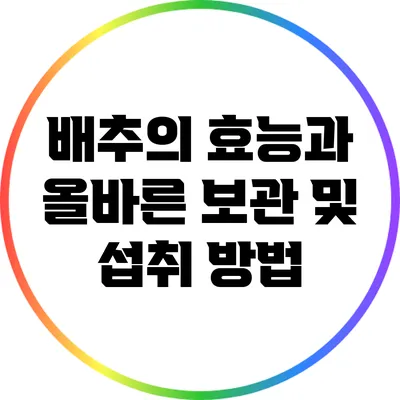 배추의 효능과 올바른 보관 및 섭취 방법