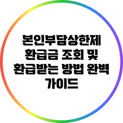 본인부담상한제 환급금 조회 및 환급받는 방법 완벽 가이드