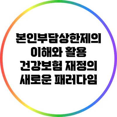 본인부담상한제의 이해와 활용: 건강보험 재정의 새로운 패러다임