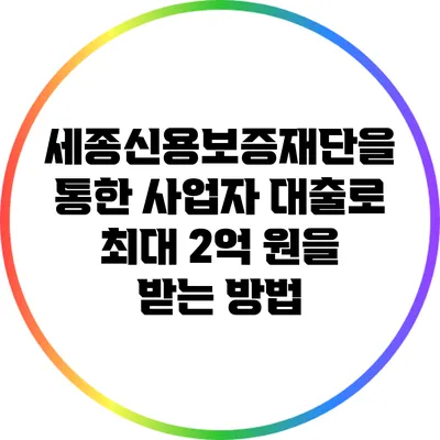 세종신용보증재단을 통한 사업자 대출로 최대 2억 원을 받는 방법