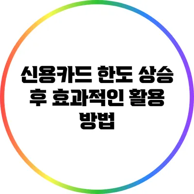 신용카드 한도 상승 후 효과적인 활용 방법