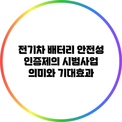전기차 배터리 안전성 인증제의 시범사업: 의미와 기대효과