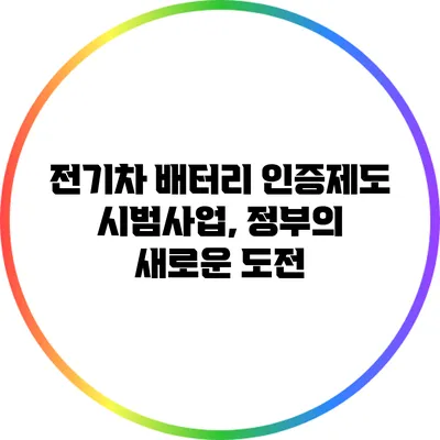 전기차 배터리 인증제도 시범사업, 정부의 새로운 도전