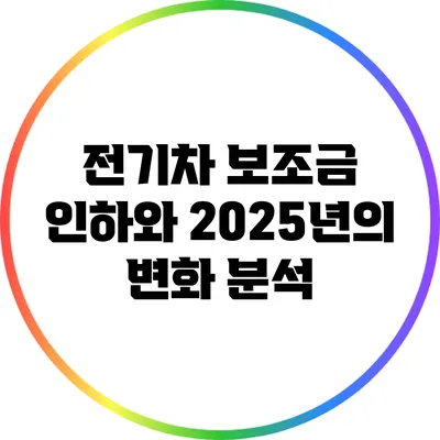 전기차 보조금 인하와 2025년의 변화 분석