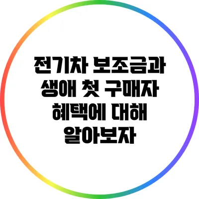 전기차 보조금과 생애 첫 구매자 혜택에 대해 알아보자
