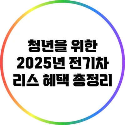 청년을 위한 2025년 전기차 리스 혜택 총정리