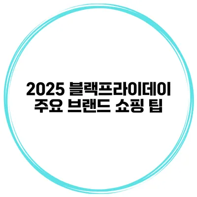 2025 블랙프라이데이 주요 브랜드 쇼핑 팁