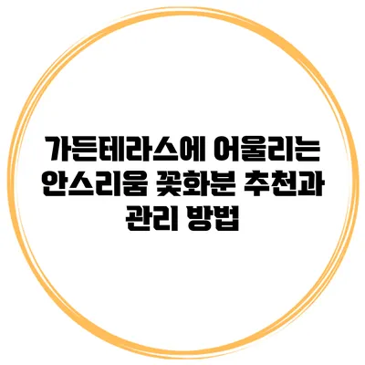 가든테라스에 어울리는 안스리움 꽃화분 추천과 관리 방법
