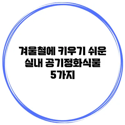 겨울철에 키우기 쉬운 실내 공기정화식물 5가지