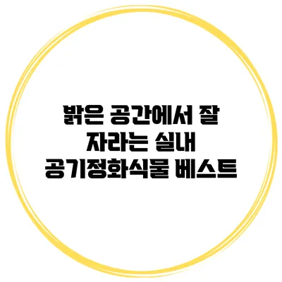 밝은 공간에서 잘 자라는 실내 공기정화식물 베스트