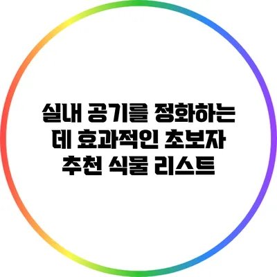 실내 공기를 정화하는 데 효과적인 초보자 추천 식물 리스트