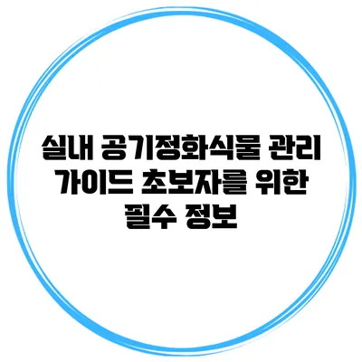 실내 공기정화식물 관리 가이드: 초보자를 위한 필수 정보