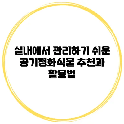 실내에서 관리하기 쉬운 공기정화식물 추천과 활용법