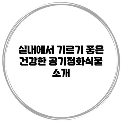 실내에서 기르기 좋은 건강한 공기정화식물 소개