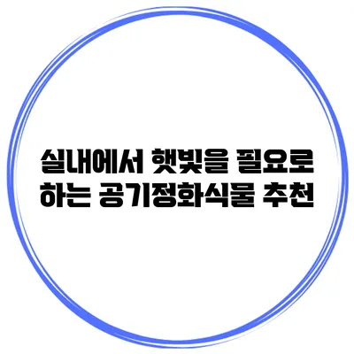 실내에서 햇빛을 필요로 하는 공기정화식물 추천