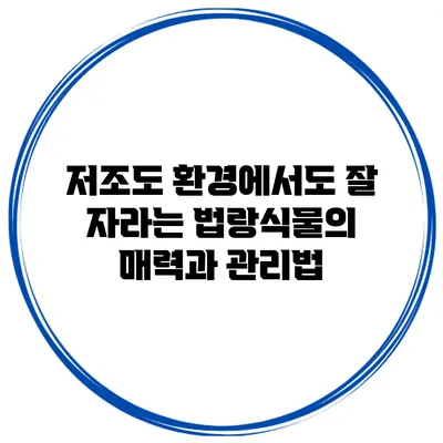 저조도 환경에서도 잘 자라는 법랑식물의 매력과 관리법