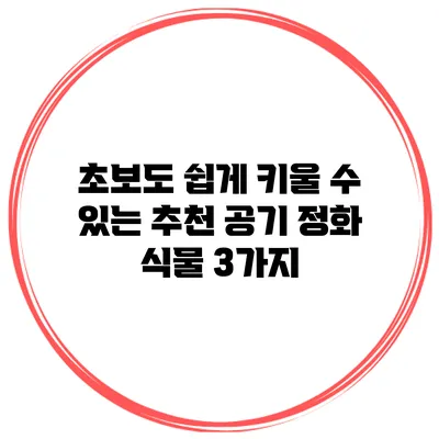 초보도 쉽게 키울 수 있는 추천 공기 정화 식물 3가지