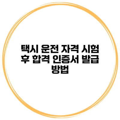 택시 운전 자격 시험 후 합격 인증서 발급 방법