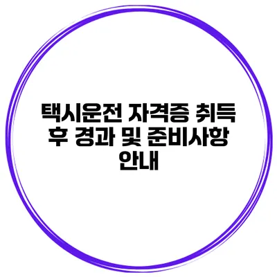 택시운전 자격증 취득 후 경과 및 준비사항 안내